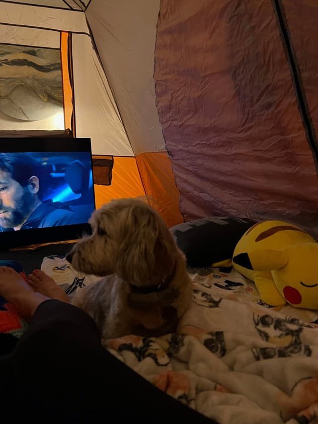 A cozy tent interior with a dog sitting on a blanket, a Pikachu plush toy, and a TV screen showing a movie