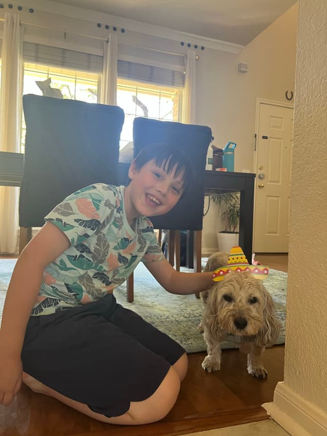 A child kneels on the floor, smiling and petting a small dog wearing a party hat, inside a room with a table and chairs in the background