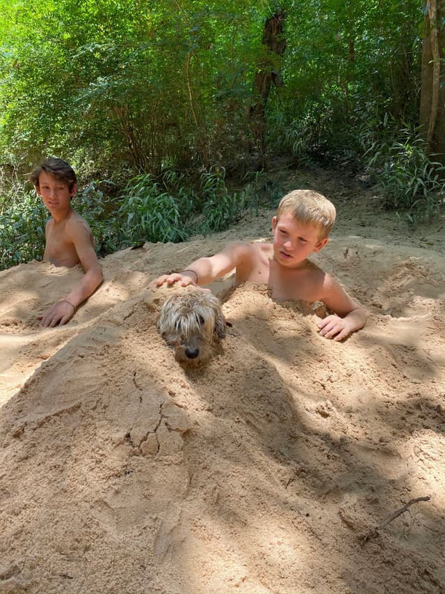Two boys and a dog are partially buried in sand, surrounded by greenery