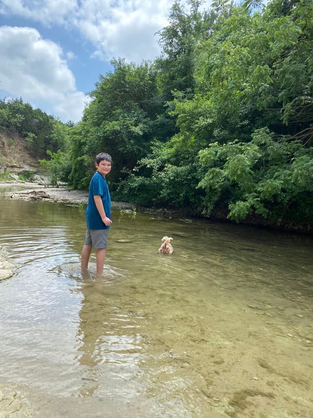 A person standing in a shallow, clear stream with a dog swimming nearby, surrounded by lush green trees under a partly cloudy sky