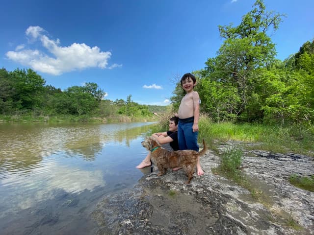 A child and a dog stand on a rocky riverbank, with lush greenery and a clear blue sky in the background