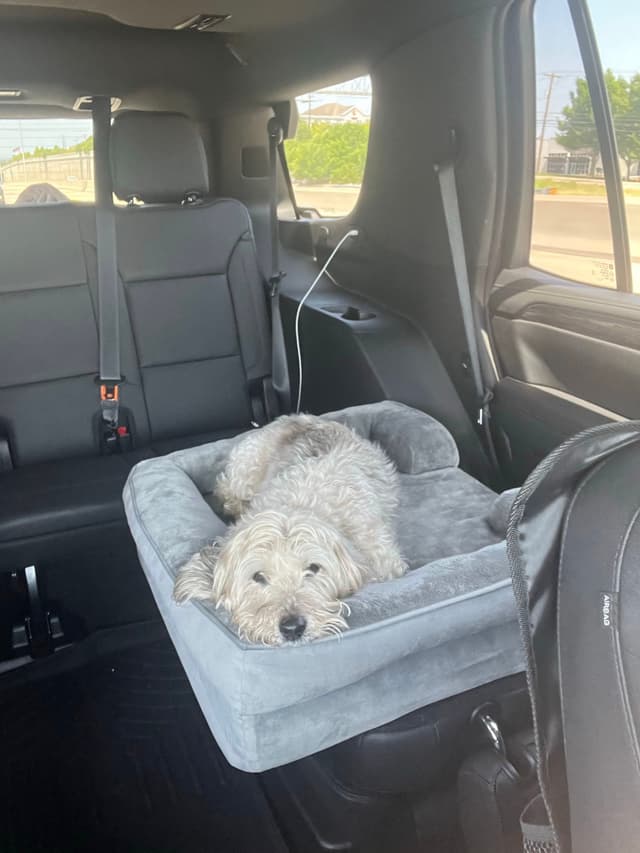 A small dog is lying in a gray pet seat in the back of a car