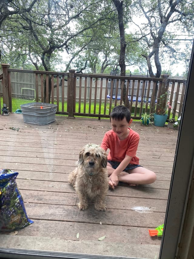 A boy in a red shirt sits on a wooden deck with a fluffy dog in front of him. The background features trees and a fenced yard