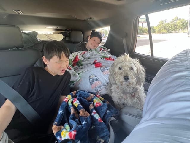 Two children and a dog are sitting in the backseat of a car. The children are wrapped in blankets, and the dog is sitting between them