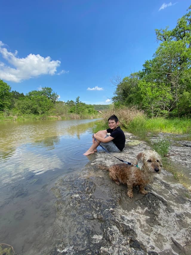 A person sitting by a calm river with a dog on a rocky shore, surrounded by lush greenery and a clear blue sky
