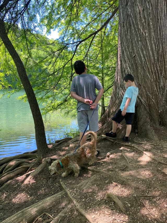 Two people and a dog stand by a large tree near a body of water, surrounded by lush greenery