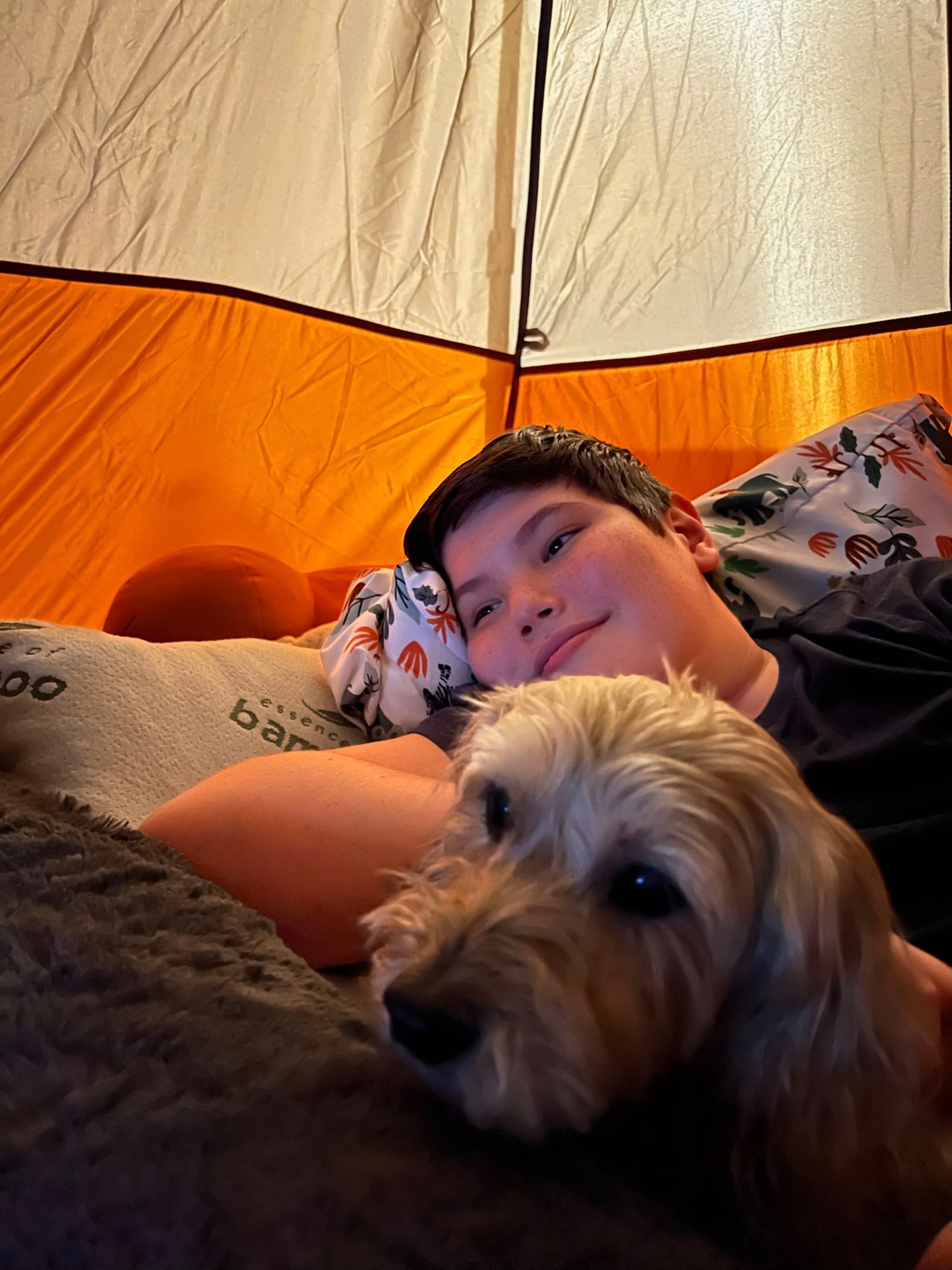 A person lying inside a tent with a small dog resting nearby, both appearing relaxed and cozy