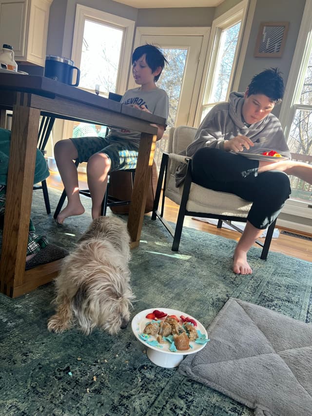 Two people are sitting in a sunlit room, one at a table and the other in a chair, both engaged with their phones. A small dog is on the floor near a bowl of food