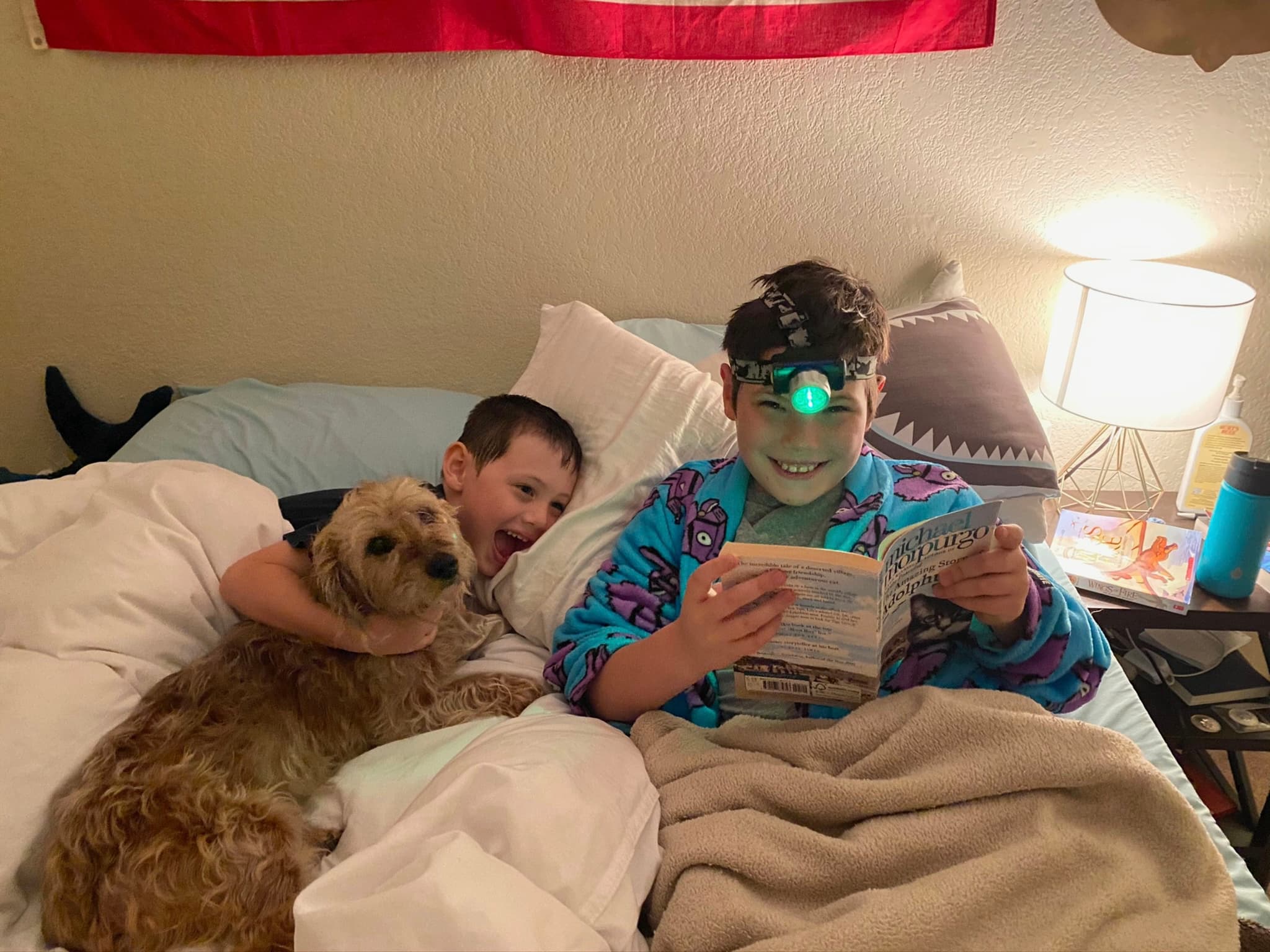Two children are in bed with a dog. One child is reading a book with a headlamp, while the other is cuddling the dog. A lamp and some items are on the bedside table