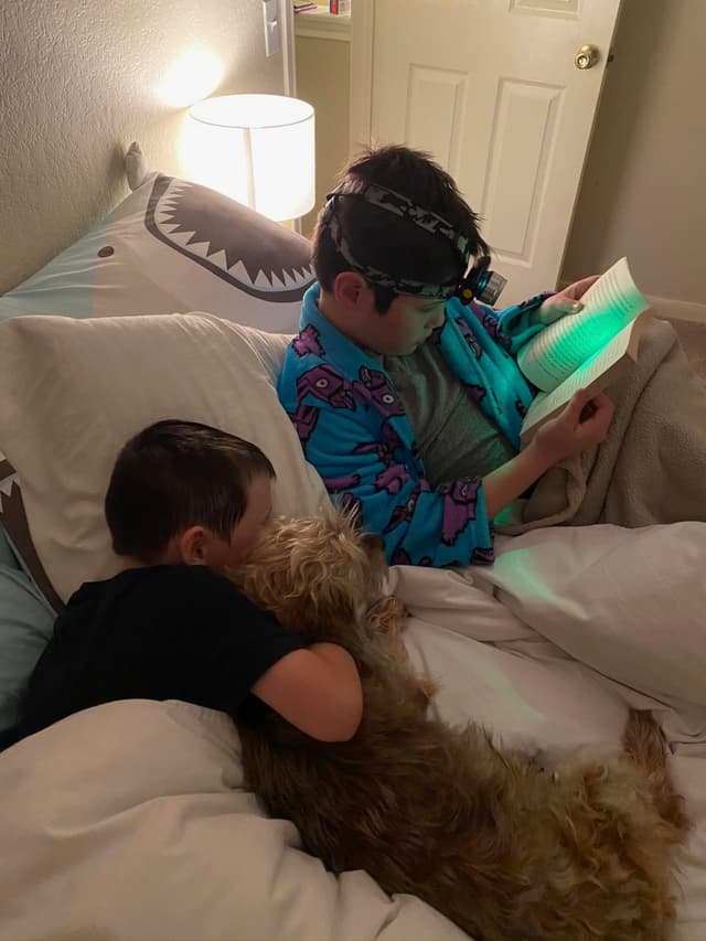 Two children are in bed; one is reading a book with a headlamp, and the other is cuddling a dog