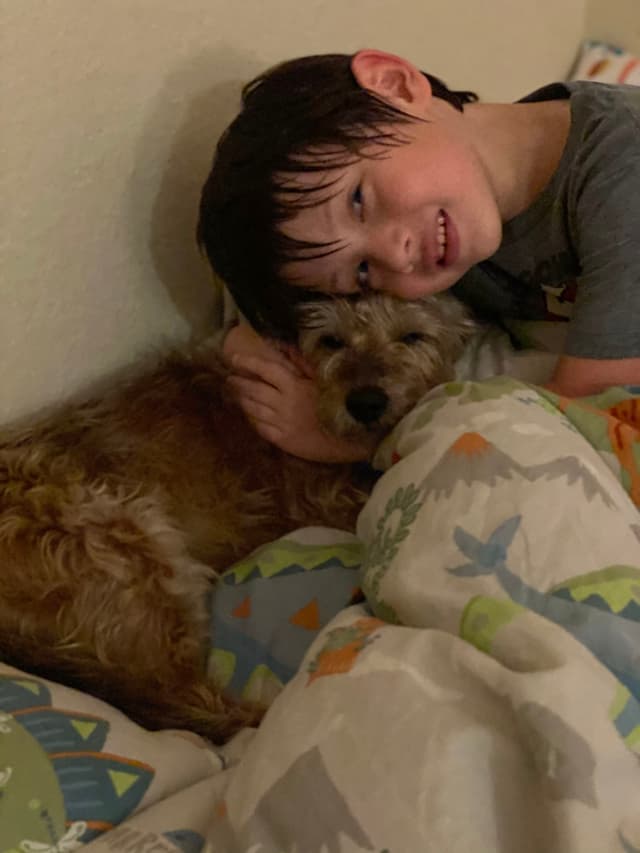 A child cuddles with a dog on a bed, both looking content and cozy under a patterned blanket