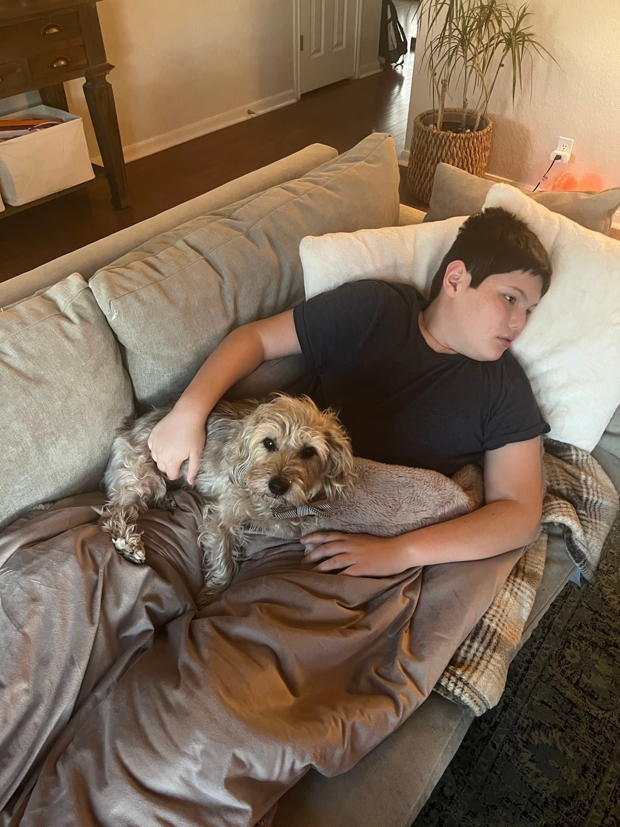 A person lying on a couch with a small dog resting on their lap, surrounded by pillows and a blanket