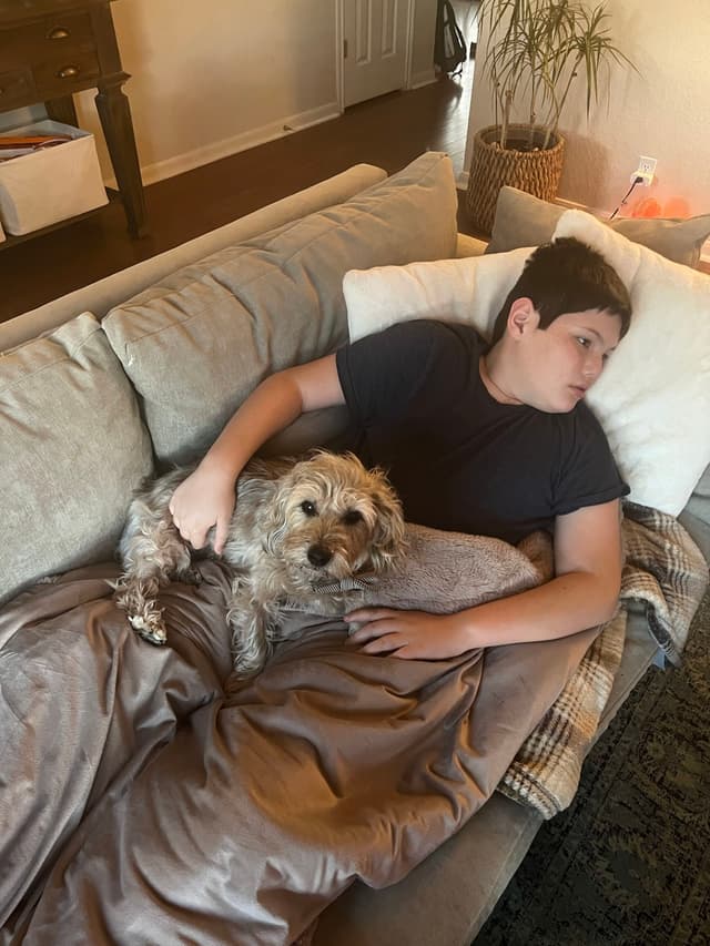 A person lying on a couch with a small dog resting on their lap, surrounded by pillows and a blanket