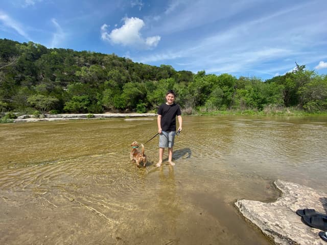 A person standing in shallow water with a dog on a leash, surrounded by a natural landscape with trees and a blue sky