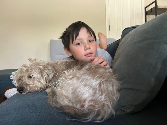 A child lying on a couch with a small, fluffy dog resting beside them