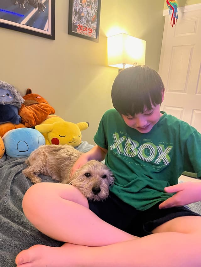 A child wearing a green Xbox shirt sits on a bed with a small dog resting beside them, surrounded by plush toys. The room is softly lit with a lamp, and framed pictures are on the wall