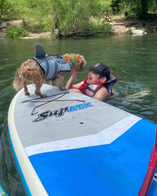 A person in a life jacket is in the water next to a paddleboard, interacting with a dog wearing a shark fin life vest. The setting is a calm, green river with trees in the background