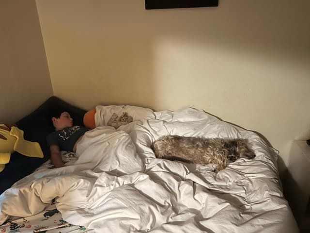 A child and a dog sleeping on a bed with white bedding in a dimly lit room