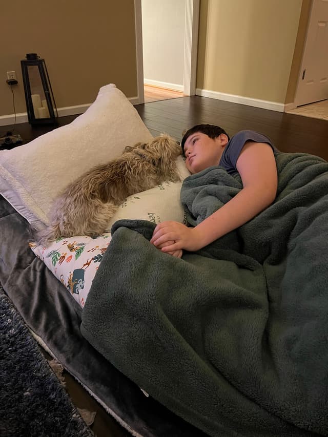 A person lying on a bed with a green blanket, accompanied by a small dog resting on a pillow beside them