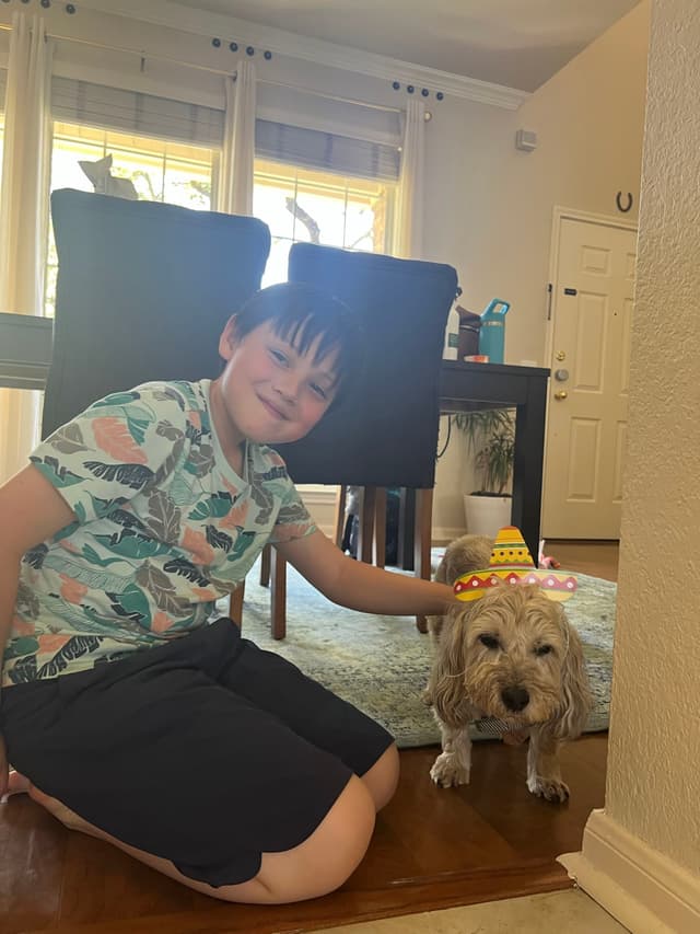 A child kneels on the floor, smiling and petting a small dog wearing a festive hat, inside a well-lit room with a dining table and chairs in the background