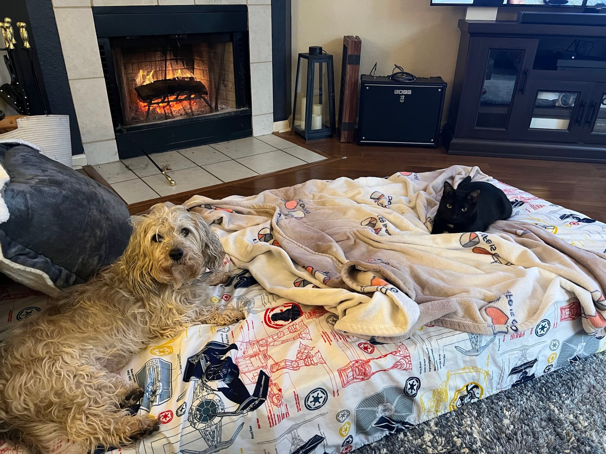 Two dogs lying on a blanket-covered mattress in front of a lit fireplace, creating a cozy indoor setting