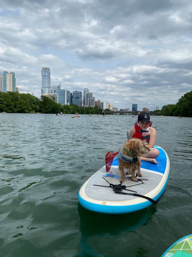 A person and a dog are on a paddleboard in a body of water, with a city skyline and cloudy sky in the background