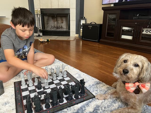 A child playing chess on the floor next to a dog wearing a bow tie, in a living room setting