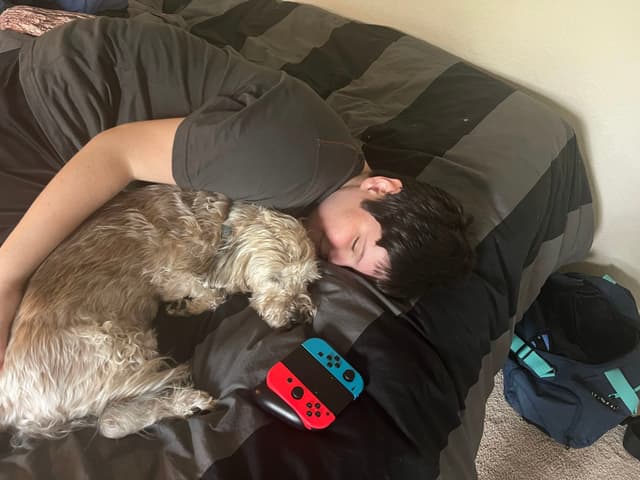 A person lying on a bed, cuddling with a dog, next to a gaming console controller