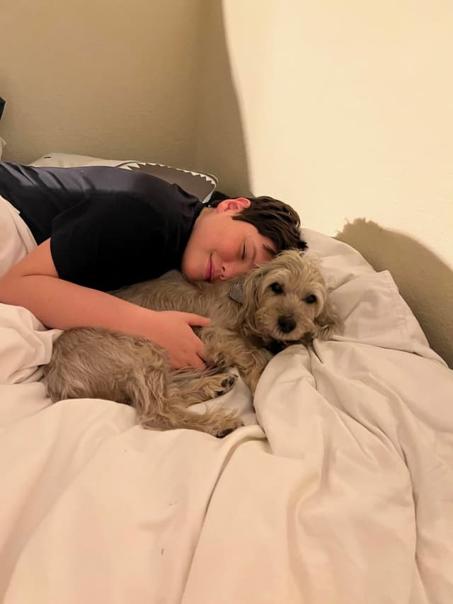 A person lying on a bed cuddling with a small dog, both appearing relaxed and comfortable