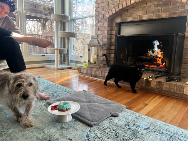 A cozy living room with a brick fireplace, a black cat walking nearby, a small dog on a rug, and a cake on a stand. A person is holding a phone, capturing the scene