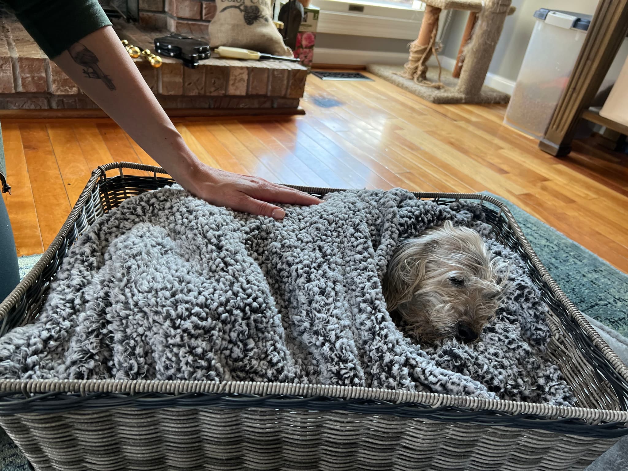 Mr. Boops loved to snuggle, he is as cozy as he will ever be.
