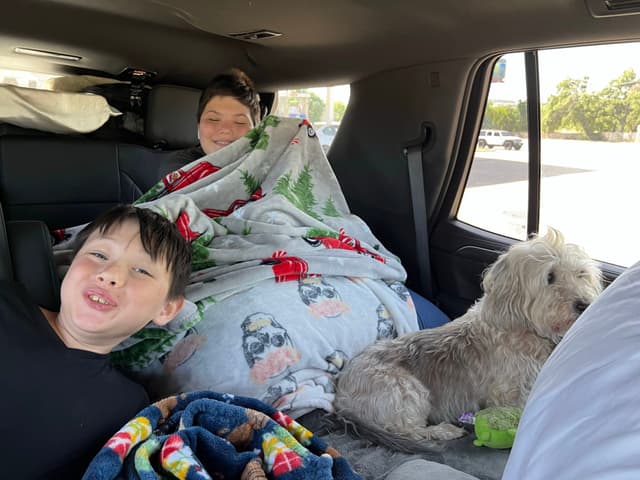 Two children and a dog are in the backseat of a car. The children are wrapped in blankets, and the dog is sitting beside them