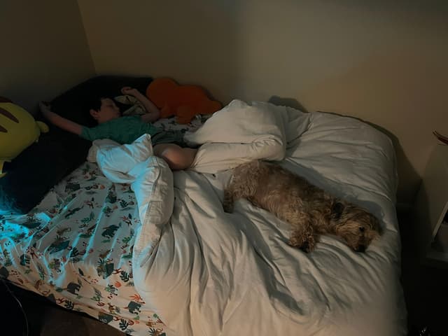 A person lying on a bed with a dog resting beside them, in a dimly lit room