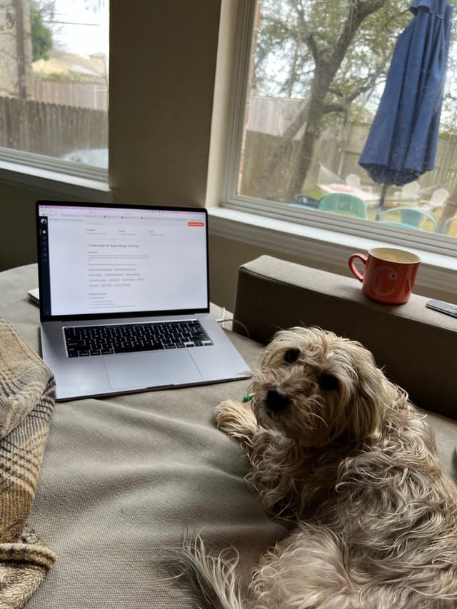 A fluffy dog lies on a bed next to an open laptop and a red mug, with a window view of a backyard