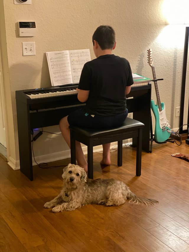 A person playing a keyboard with sheet music, while a dog lies on the wooden floor nearby. A guitar is propped against the wall