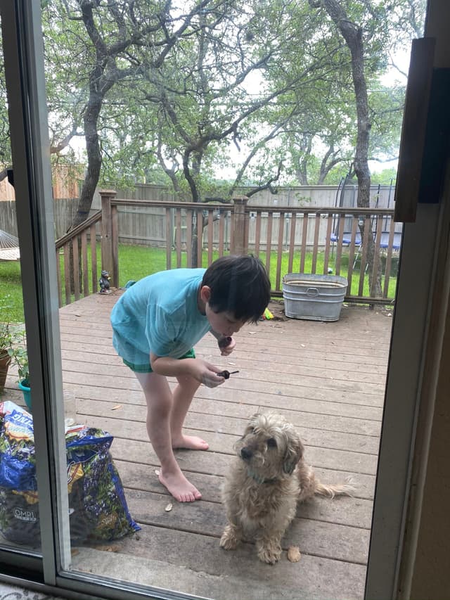 A child in a blue shirt is bending down to look at a small object on a wooden deck, with a fluffy dog sitting nearby. The scene is outdoors, surrounded by trees and a wooden fence