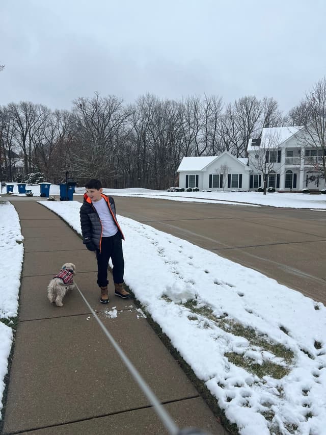 A person walking a small dog on a snowy sidewalk in a suburban neighborhood with houses and trees in the background