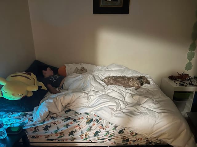 A person sleeping in a bed with a dog lying beside them, surrounded by pillows and blankets. A nightstand with various items is nearby
