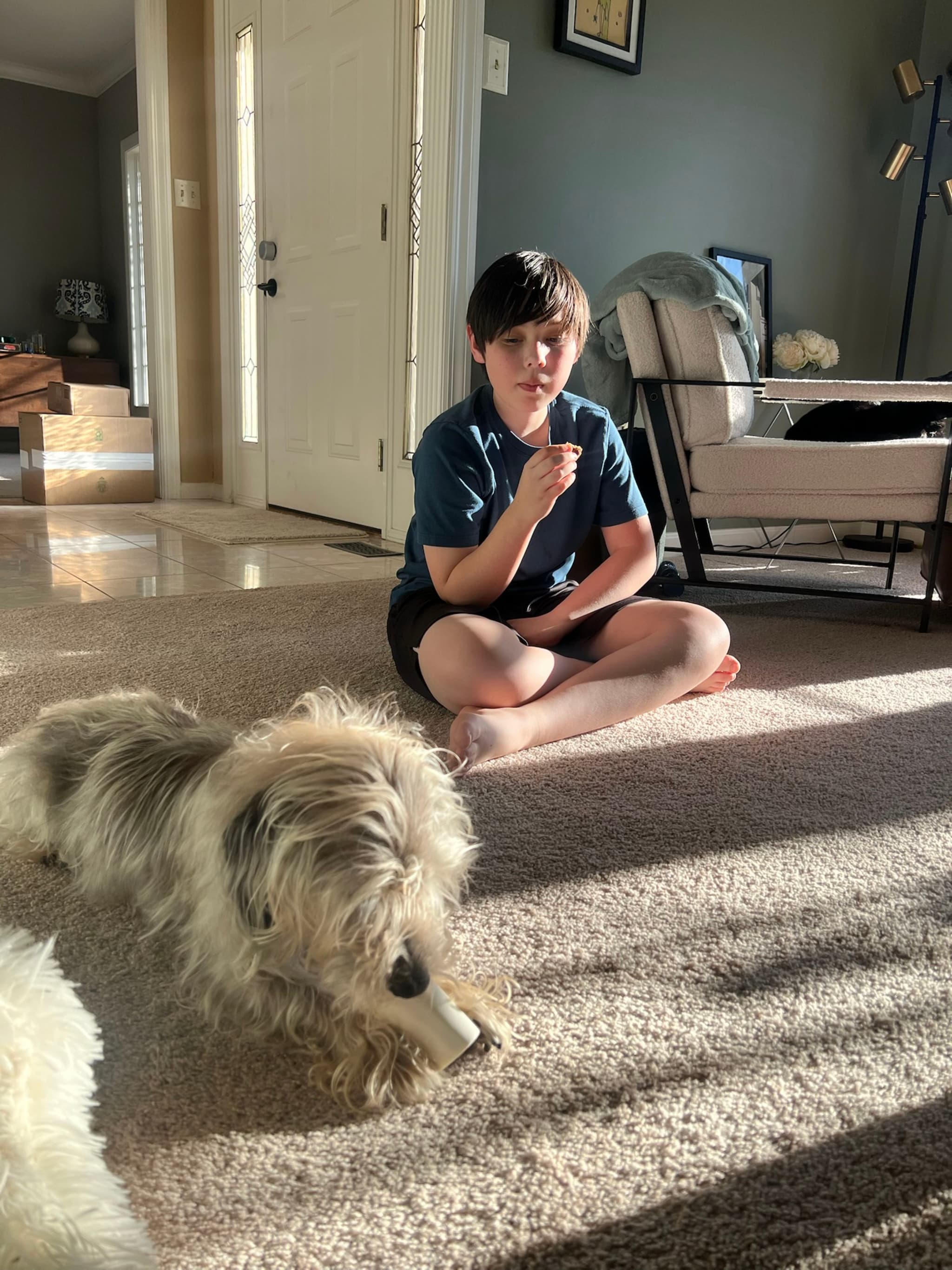 A child sits on the carpeted floor, eating something, while a small dog chews on a bone nearby. Sunlight streams into the room, casting shadows