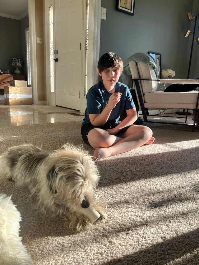 A child sits on the carpeted floor, eating something, while a small dog chews on a bone nearby. Sunlight streams into the room, casting shadows