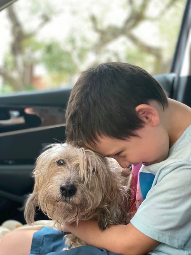 A young boy is sitting in a car, gently hugging a small, shaggy dog