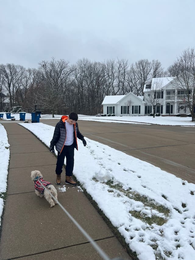 A person walking a small dog on a snowy sidewalk in a suburban neighborhood with houses and trees in the background