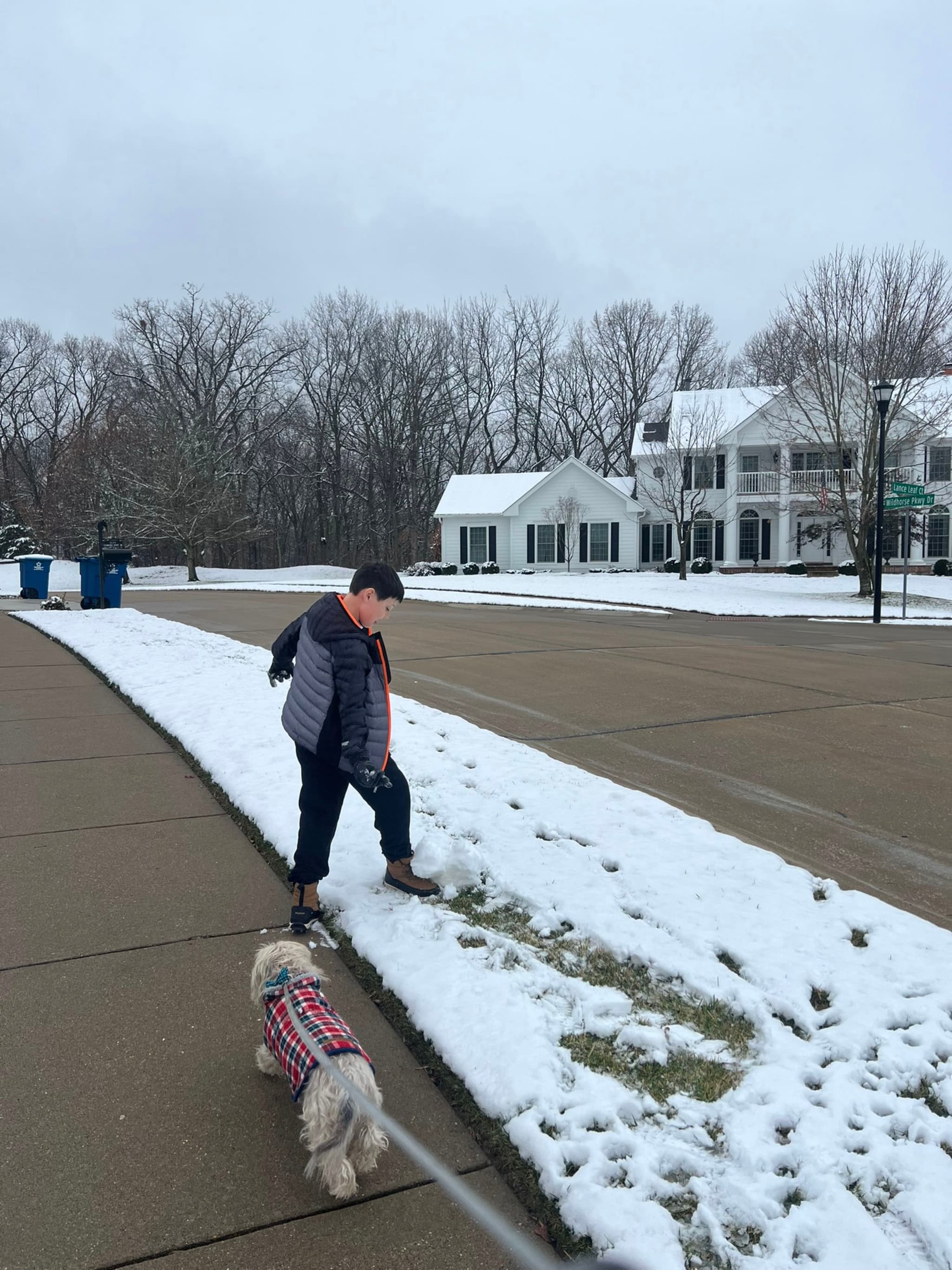 A person walking a small dog on a snowy sidewalk in a suburban neighborhood with houses and bare trees in the background