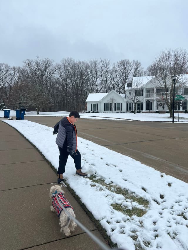 A person walking a small dog on a snowy sidewalk in a suburban neighborhood with houses and bare trees in the background