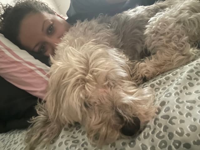 A person lying on a bed with a fluffy dog resting beside them