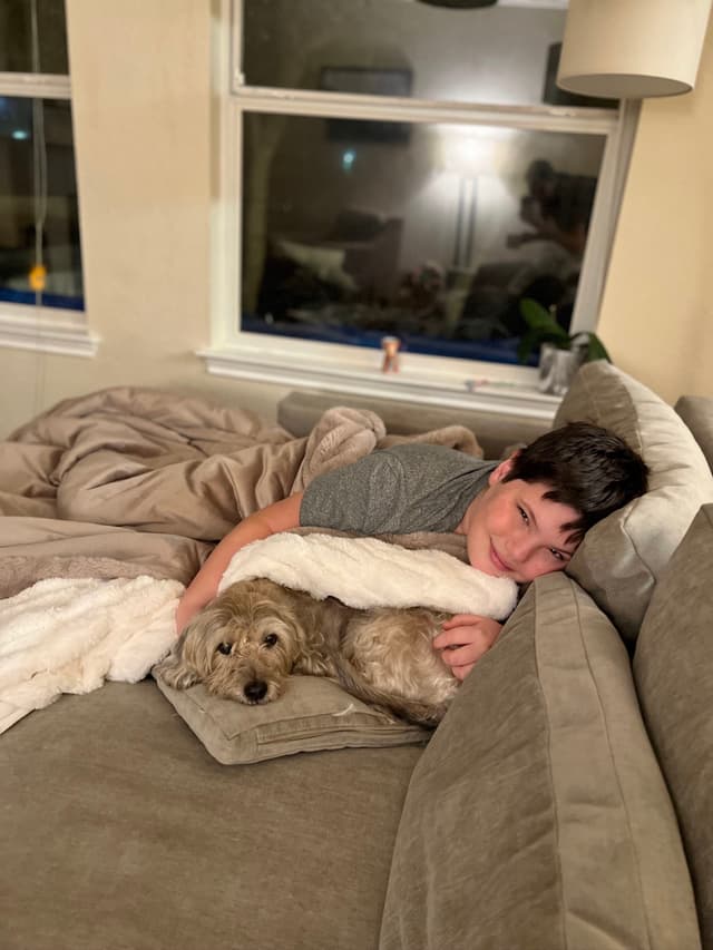A person lying on a couch, covered with a blanket, cuddling a small dog