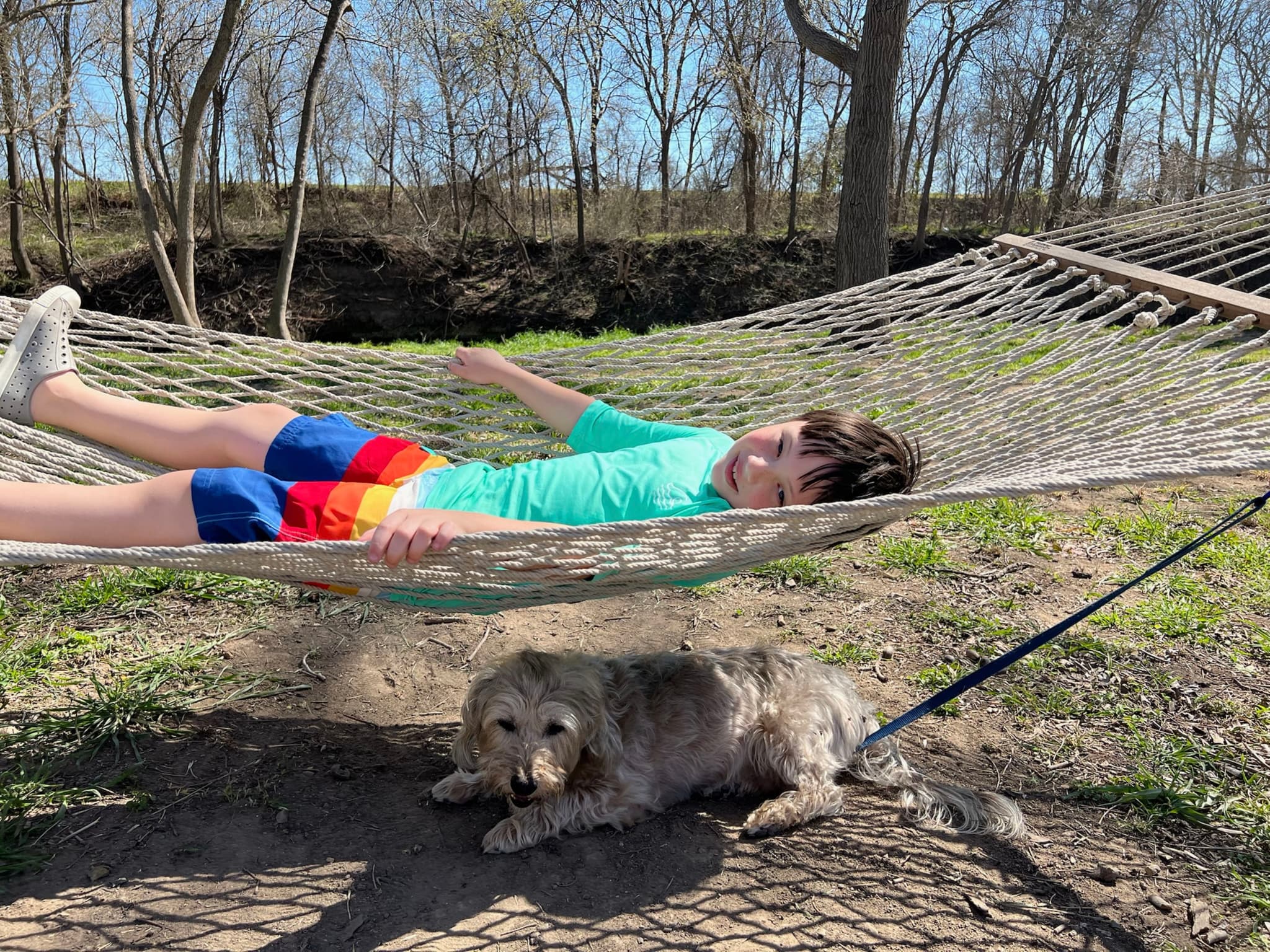 A person relaxing on a hammock wearing colorful shorts and a turquoise shirt, with a dog lying on the ground underneath. Trees and grass are in the background