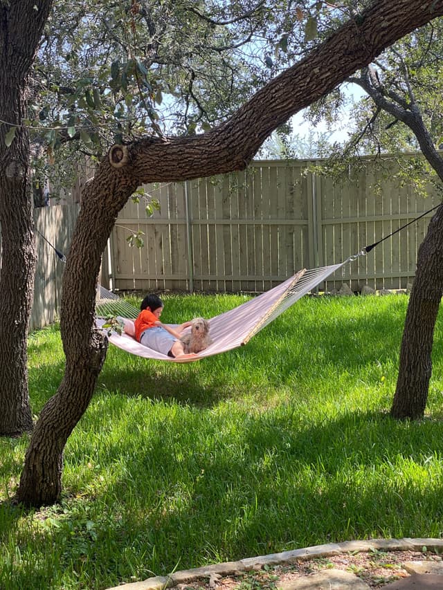 A person relaxing in a hammock strung between two trees in a grassy backyard with a wooden fence