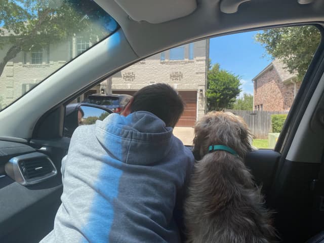 A person and a dog are looking out the window of a parked car, with houses and trees visible outside